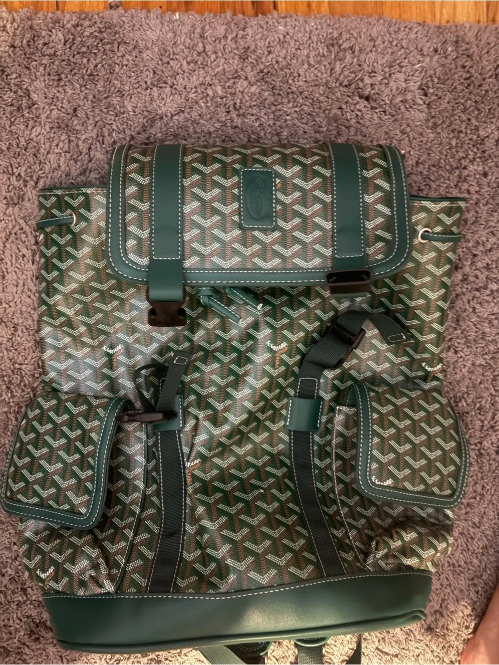 Goyard Green Patterned Canvas Backpack with Leather Trim